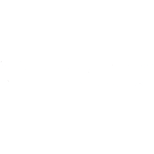 Partner logo 6